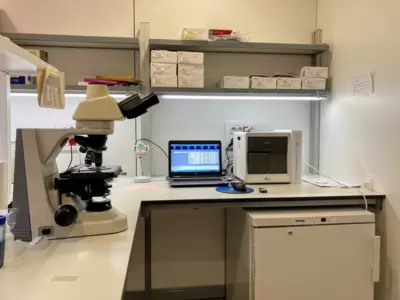 Proves diagnòstiques - lab microbiologia PCR