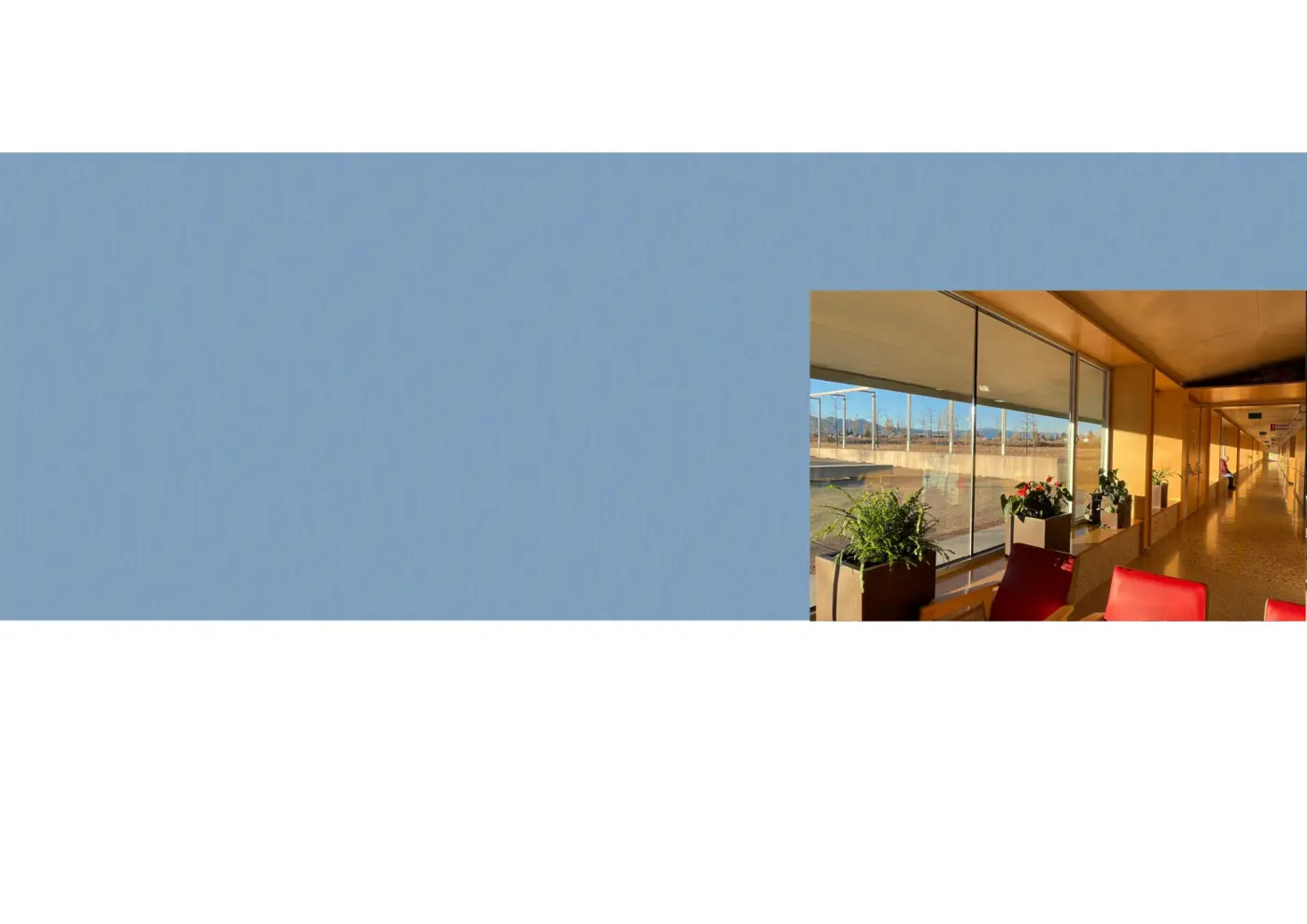 Zona de recepción y entrada principal del Hospital: aspecto renovado gracias a la donación de plantas por parte de Garden Trillas